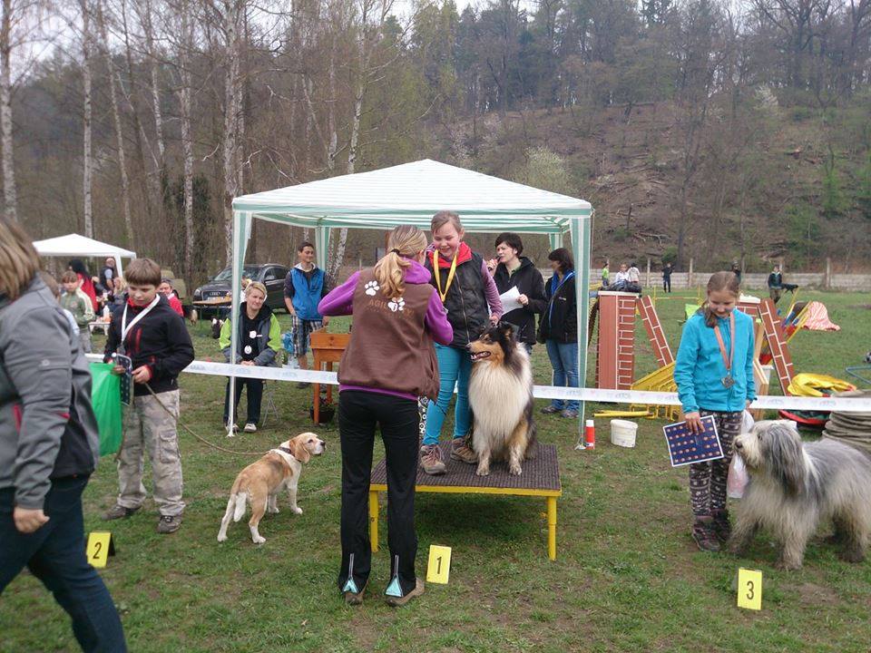 agility Rokycany 2014