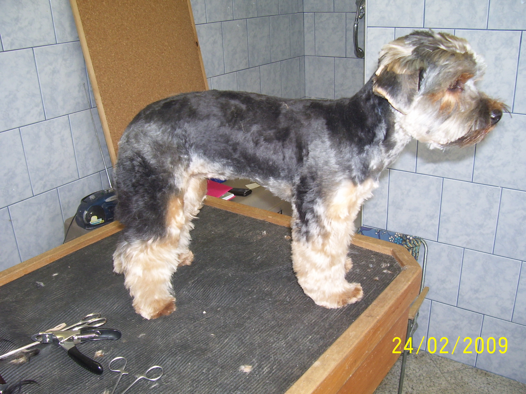 100_2529.jpg