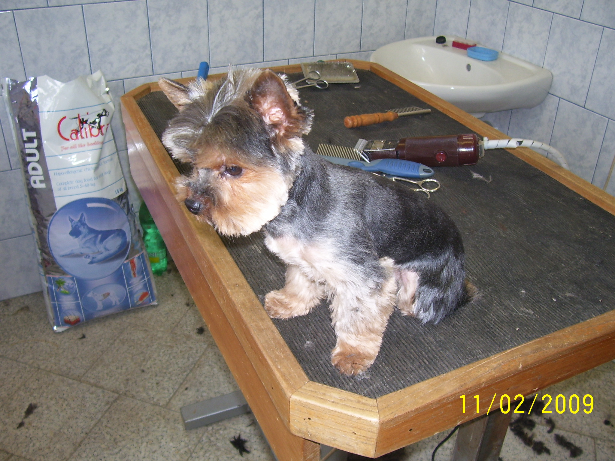 100_2492.jpg