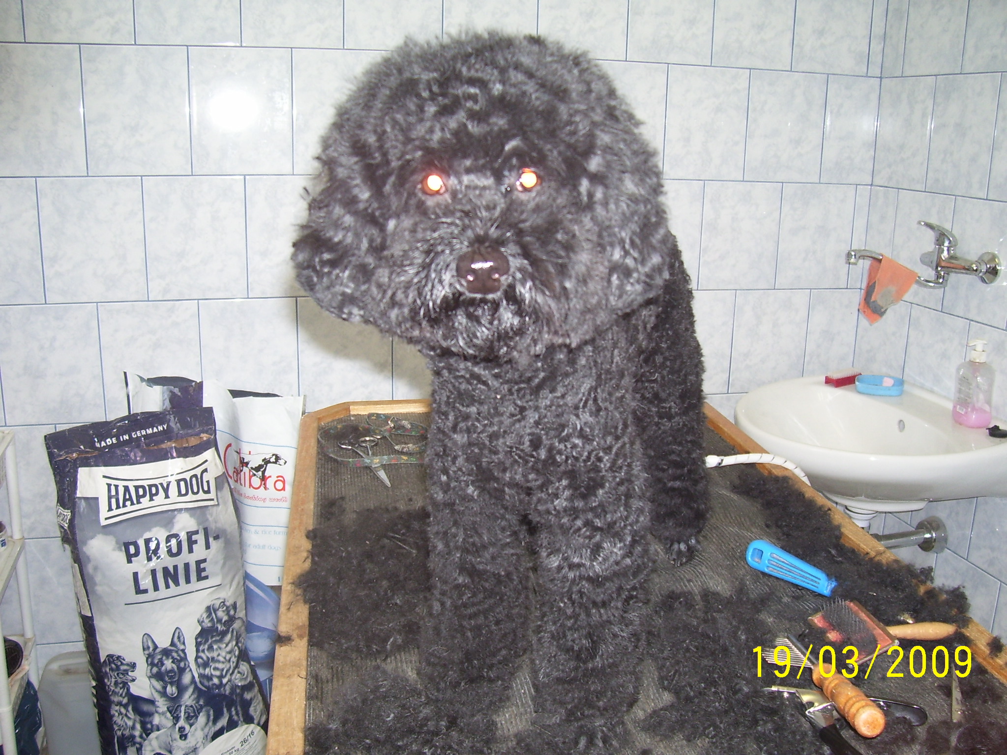 100_2617.jpg